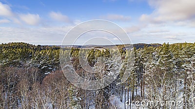 Aerial winter landscape with snow, fields and forest. Stock Photo