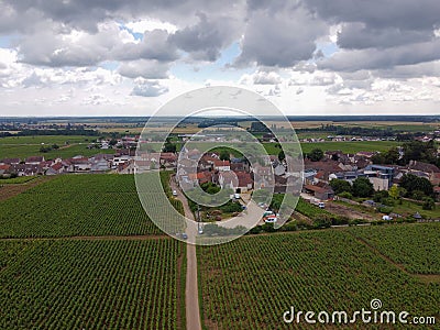 Aerian view on green grand cru and premier cru vineyards with rows of pinot noir grapes plants in Cote de nuits, making of famous Editorial Stock Photo