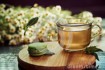 Aesthetic tea time, herbal tea and macaroons dessert outside in the terrace under trendy hard shadows. Sweet desserts Stock Photo