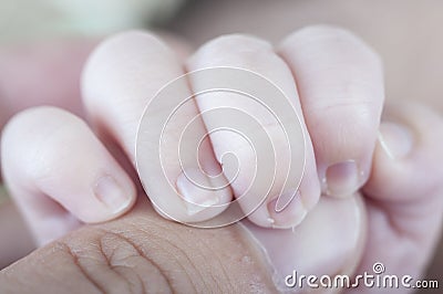 Affection, Hand of newborn. Hands of father and son united. Mate Stock Photo