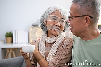 Affectionate senior Asian couple sharing warm embrace on the sofa, celebrating their enduring love and togetherness. Elderly Stock Photo