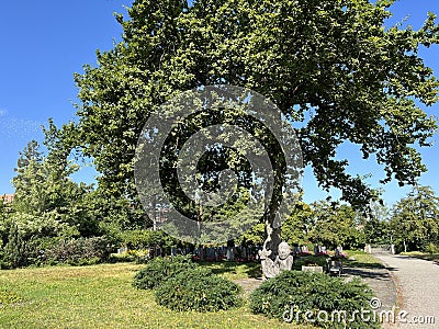 Affoltern Cemetery Park or Park of the Cemetery Affoltern oder Friedhofspark Affoltern - Zurich or Zuerich Editorial Stock Photo