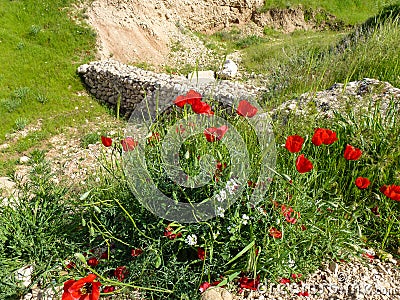 Afghanistan life and countryside Stock Photo