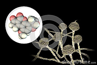 Aflatoxin B1 molecule, a toxin produced by fungi Aspergillus Cartoon Illustration
