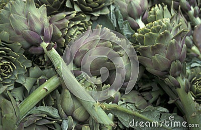 AFRICA EGYPT CAIRO OLD TOWN MARKET Stock Photo