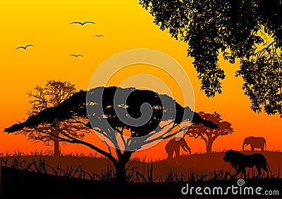 Africa landscape Stock Photo