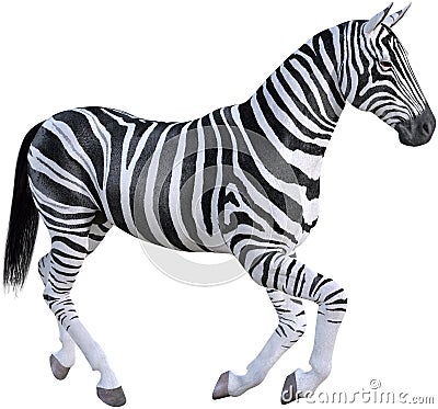 Africa Nature Zebra, Wildlife, Isolated Cartoon Illustration