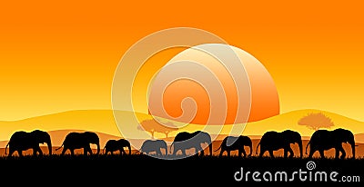 Africa safari Stock Photo