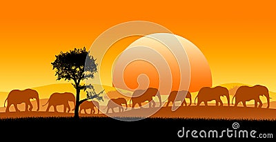 Africa safari Stock Photo