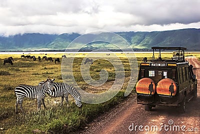 Africa, Tanzania , Ngorongoro Crater - March 2016 : Jeep safari Editorial Stock Photo