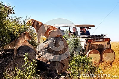 Africa, Tanzania, Serengeti National Park - March 2016: Jeep tourists photograph the pride of the lions Editorial Stock Photo