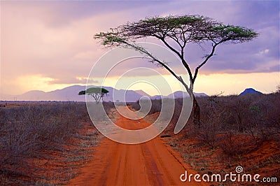 Africa a typical landscape in Kenya Stock Photo