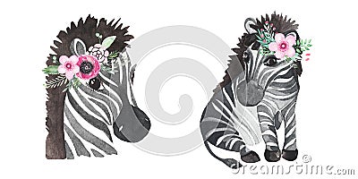 Africa watercolor animals Zebra clipart Hand painted cute animal set Perfect for Wallpaper printing packaging Stock Photo