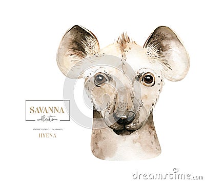 Africa watercolor savanna cute funny hyena animal illustration. African Safari animals face portrait character. Isolated Cartoon Illustration