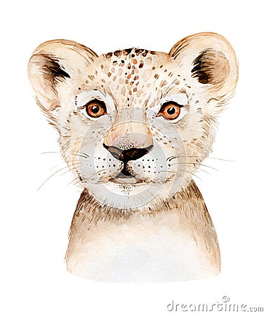 Africa watercolor savanna lion, animal illustration. African Safari wild cat cute exotic animals face portrait character Cartoon Illustration