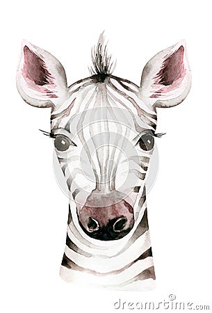 Africa watercolor savanna zebra animal. African Safari cute animals portrait character.Perfect for wallpaper print Stock Photo