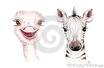 Africa watercolor savanna zebra animal. African Safari cute animals portrait character.Perfect for wallpaper print Stock Photo