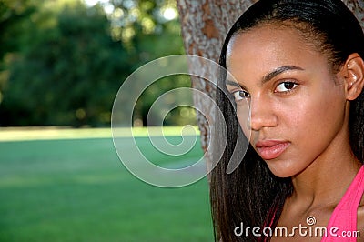 African-American Beauty Stock Photo