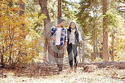 African American Couple Walking Through Fall Woodland Stock Photo