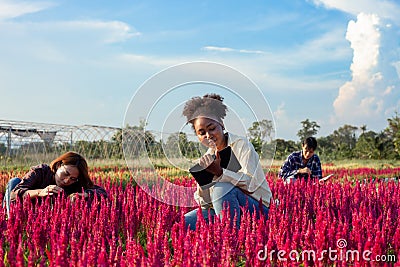 African-American female researcher and Asian scientist Make a red flower and enter the data in the tablet Stock Photo