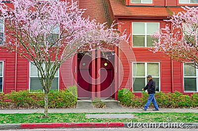 African American man walking by a suburban townhouse with cherry blossom in Seattle, WA Editorial Stock Photo