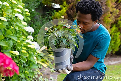 African american man wearing gardening gloves smelling flowers while gardening in the garden Stock Photo