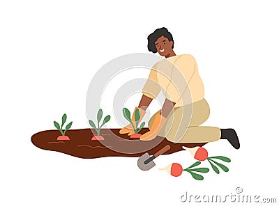 African american smiling woman gathering harvest on vegetable patch vector flat illustration. Female farmer cultivate Vector Illustration