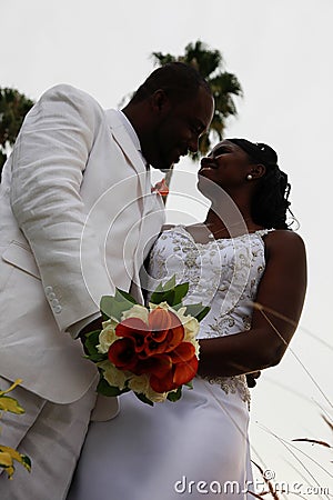 African American Wedding Couple Stock Photo Image 13352110