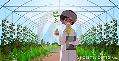 African american woman scientist examining plant sample in test tube modern glass greenhouse interior research science Vector Illustration