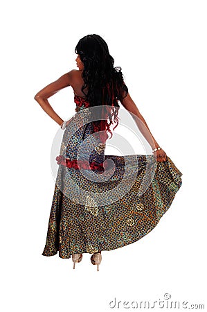 https://thumbs.dreamstime.com/x/african-american-woman-standing-back-beautiful-long-dress-black-hair-isolated-white-background-70677429.jpg