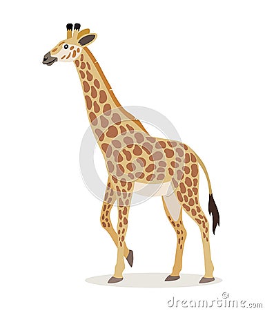 African animal, cute giraffe icon isolated on white background, animal with long neck, vector Vector Illustration