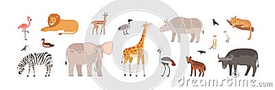 African animals, birds set. Wild jungle fauna. Cute tropical giraffe, elephant, buffalo, lion, flamingo, rhino and zebra Vector Illustration
