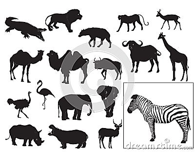 African animals collection Vector Illustration