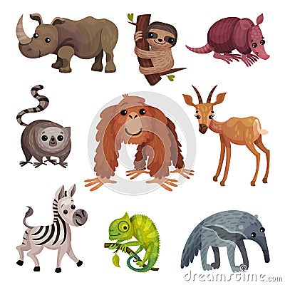 African Animals with Rhinoceros and Sloth Vector Set Vector Illustration