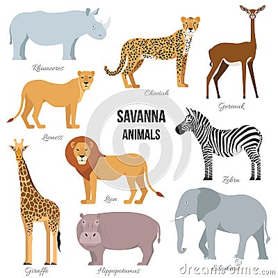 African animals of savanna elephant, rhino, giraffe, cheetah, zebra, lion, hippo . Vector illustration Vector Illustration