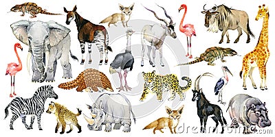 African animals watercolor collection isolated on white. wild nature. Stock Photo