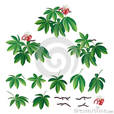 African baobab leaves, flower and branch collection. Vector illustration Vector Illustration