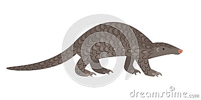 African big reptile pangolin Vector Illustration