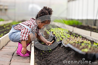 African black child playing planting the green tree gardening in agriculture farm. Children love nature concept Stock Photo