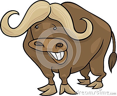 African buffalo Vector Illustration