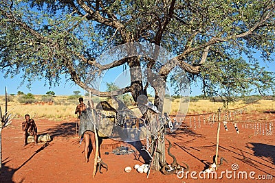 African bushveld with lions, Namibia Editorial Stock Photo