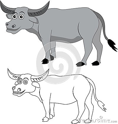 African cape buffalo,wild animal of africa,front view picture isolated on white background Vector Illustration