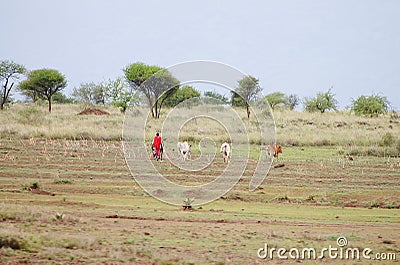 African Cattle Herder - Tanzania Stock Photo