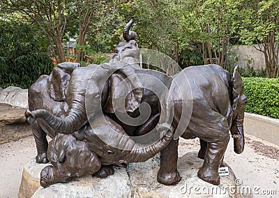 `African Elephant Calves`, a bronze five-piece fountain group by Lorenzo Ghiglieri at the Dallas Zoo, Texas Editorial Stock Photo