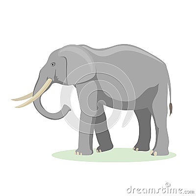 African elephant cartoon vector illustration. Vector Illustration