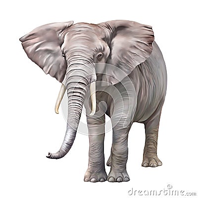 African elephant, Loxodonta africana Stock Photo