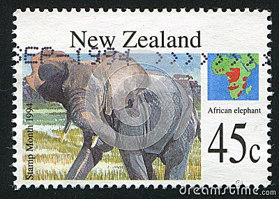 African elephant Editorial Stock Photo