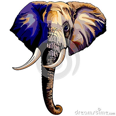 African Elephant Portrait Vector Illustration isolated on white Vector Illustration