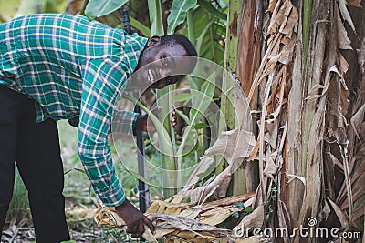 African farmer man standing at organic farm with smile and happy.Agriculture or cultivation concept Stock Photo