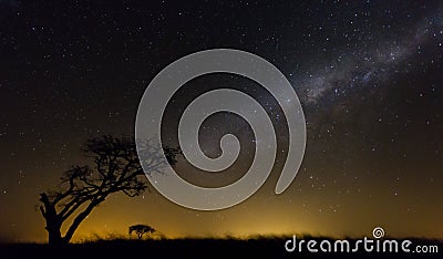 African Heaven Stock Photo